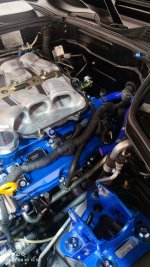 IMG_20260304_143235.jpg